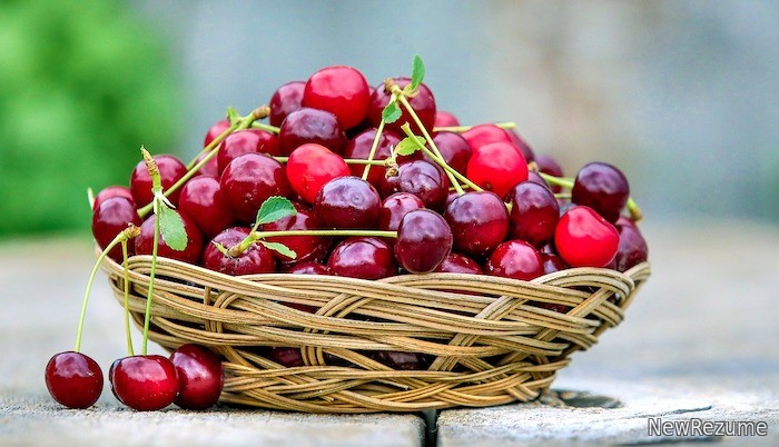 15 любопытных фактов о вишне и черешне